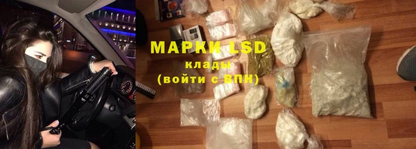 ПСИЛОЦИБИНОВЫЕ ГРИБЫ Заводоуковск