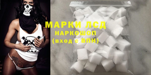 ПСИЛОЦИБИНОВЫЕ ГРИБЫ Заводоуковск