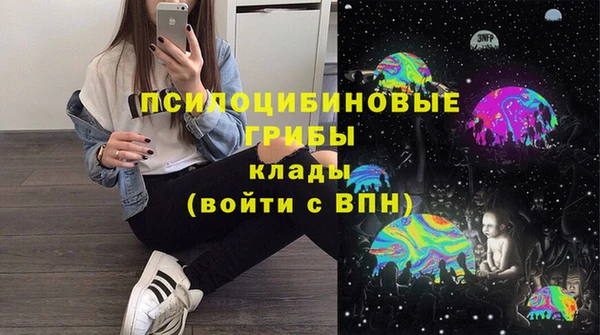 ПСИЛОЦИБИНОВЫЕ ГРИБЫ Заводоуковск