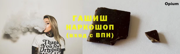 ПСИЛОЦИБИНОВЫЕ ГРИБЫ Заводоуковск