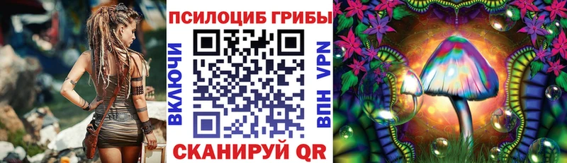 Псилоцибиновые грибы ЛСД  сколько стоит  Карабулак 