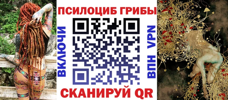 Псилоцибиновые грибы прущие грибы Карабулак