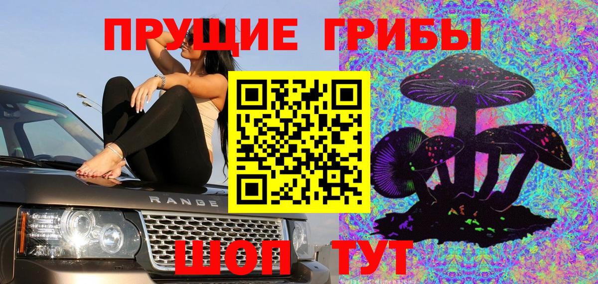 Псилоцибиновые грибы Psilocybine cubensis Карабулак