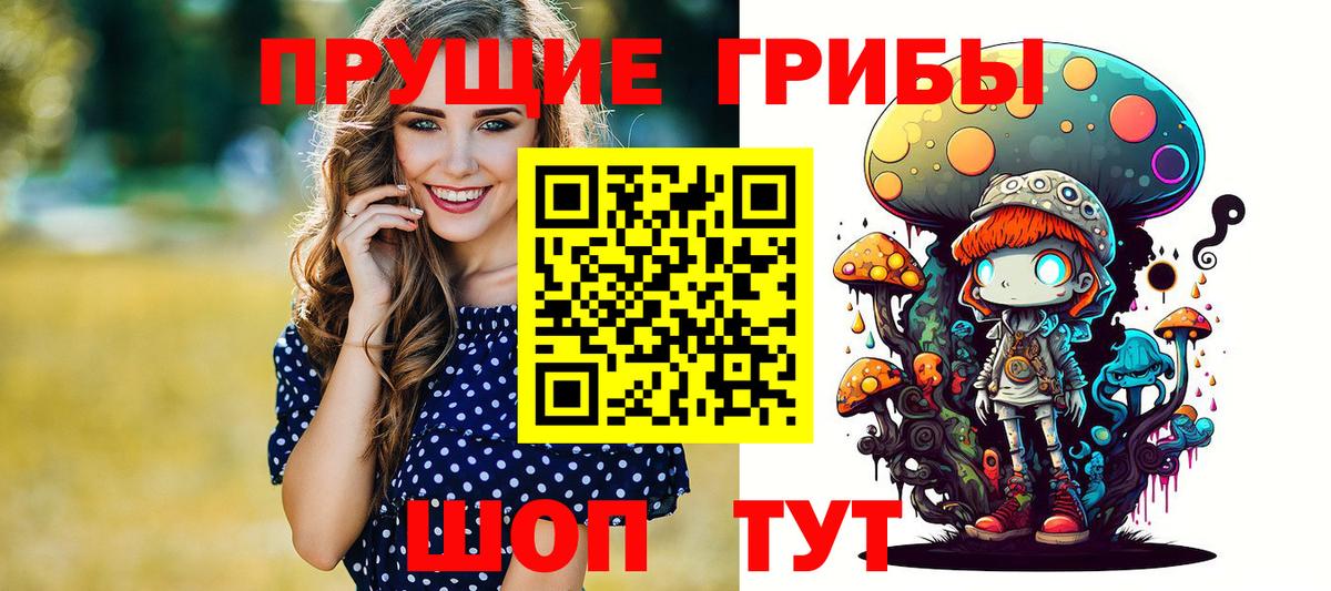 Псилоцибиновые грибы Cubensis  Вход с VPN  Карабулак 